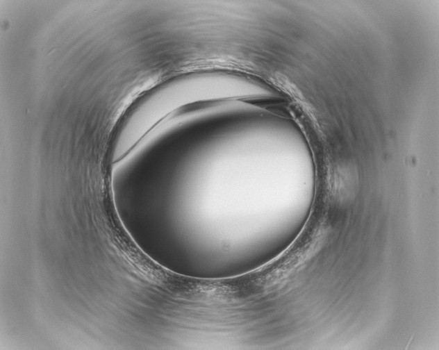 X0000088131218200705141434