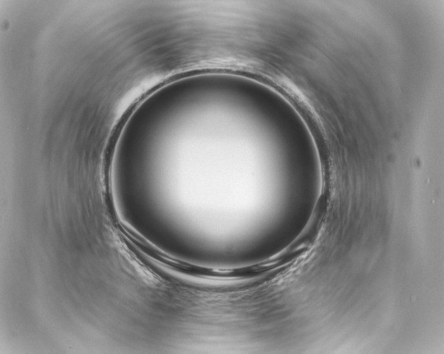 X0000088131230200705141434