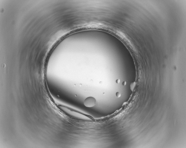 X0000088131232200705141434