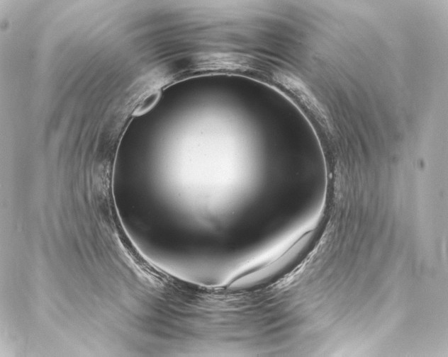 X0000088131233200705141434