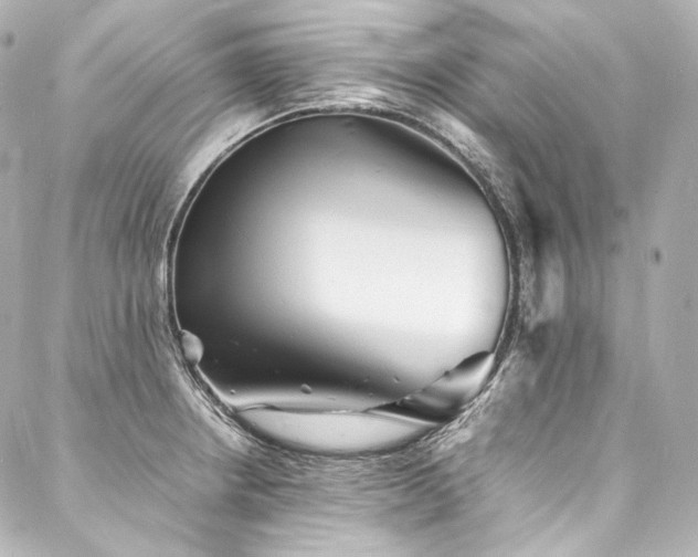 X0000088131234200705141434