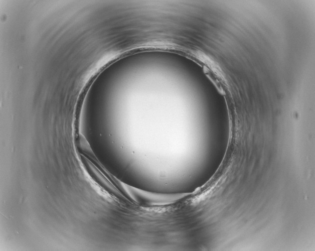 X0000088131237200705141434