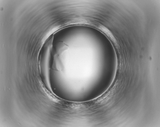 X0000088131242200705141434