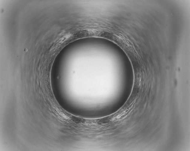 X0000088131249200705141433