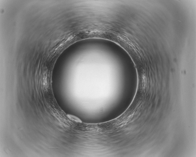 X0000088131250200705141433