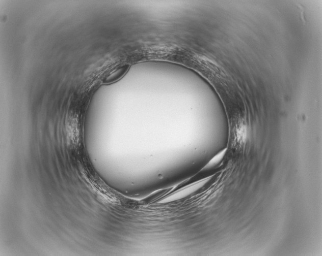 X0000088131252200705141433