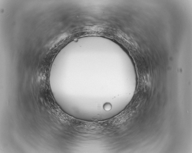 X0000088131254200705141433