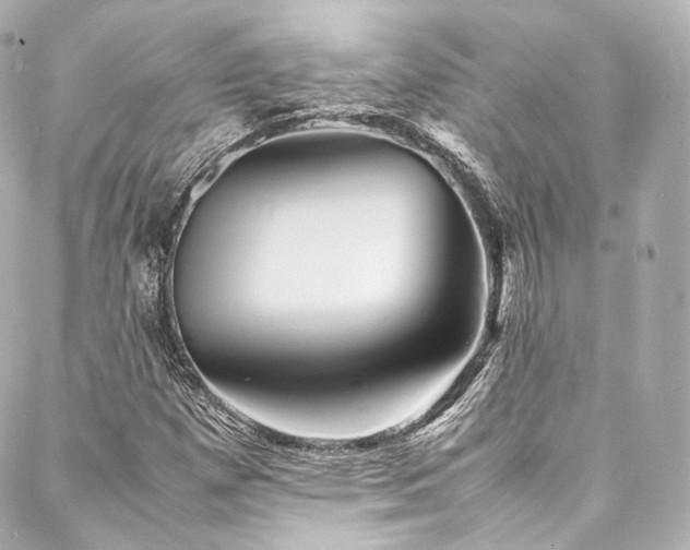 X0000088131257200705141433