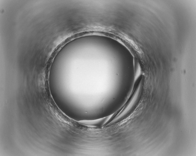 X0000088131264200705141433