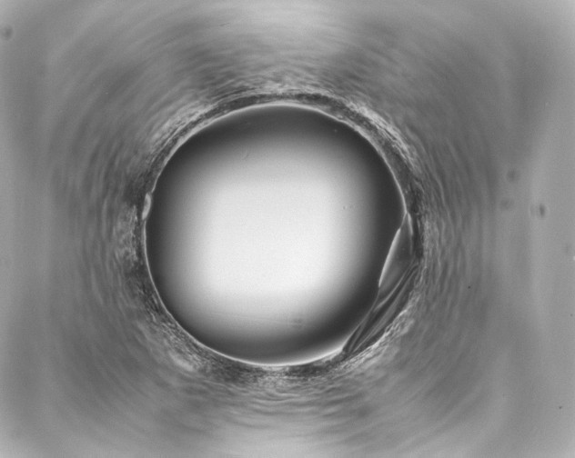 X0000088131265200705141433