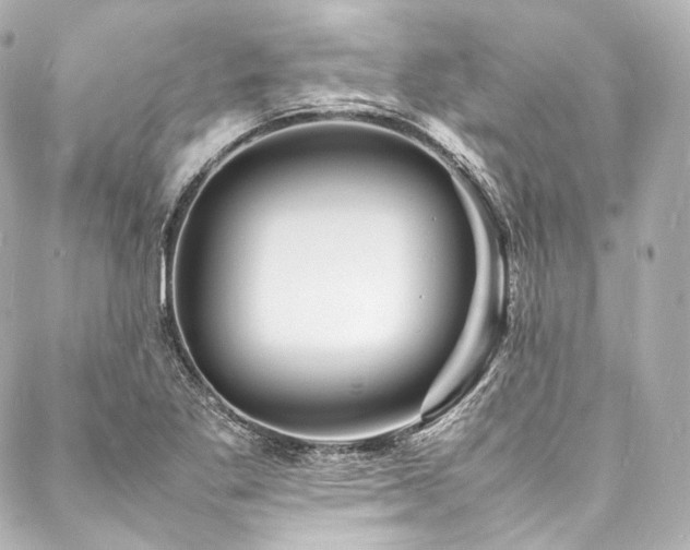 X0000088131269200705141433