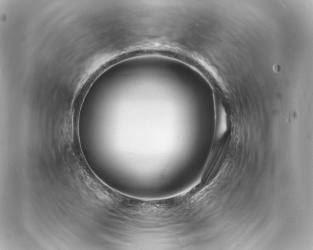 X0000088131270200705141433