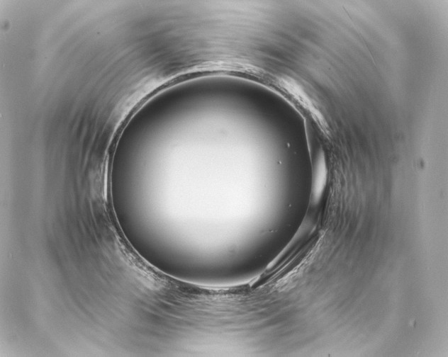 X0000088131276200705141433