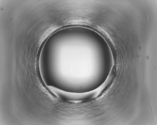 X0000088131277200705141433