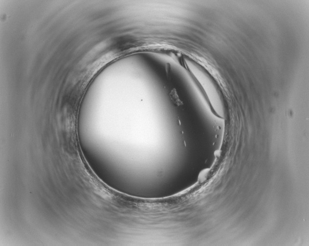 X0000088131281200705141433