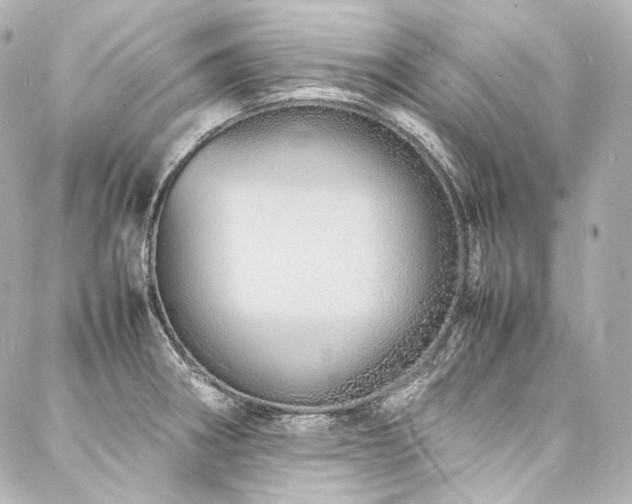 X0000088131282200705141433