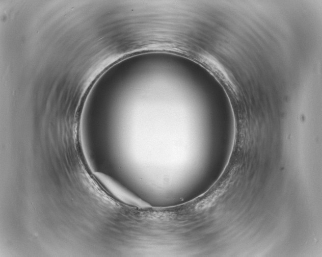 X0000088131284200705141433