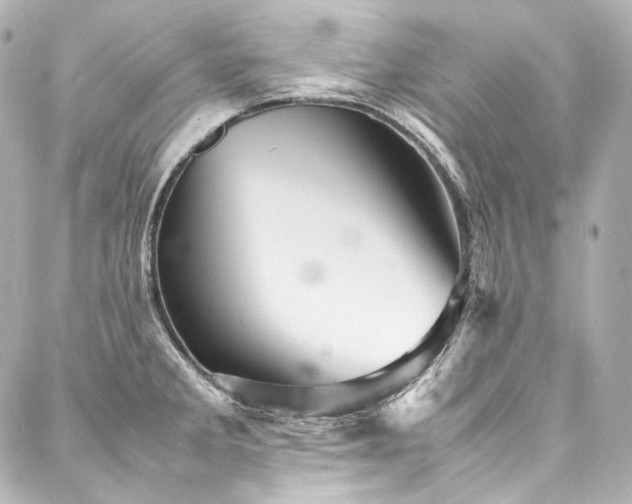 X0000088131285200705141433