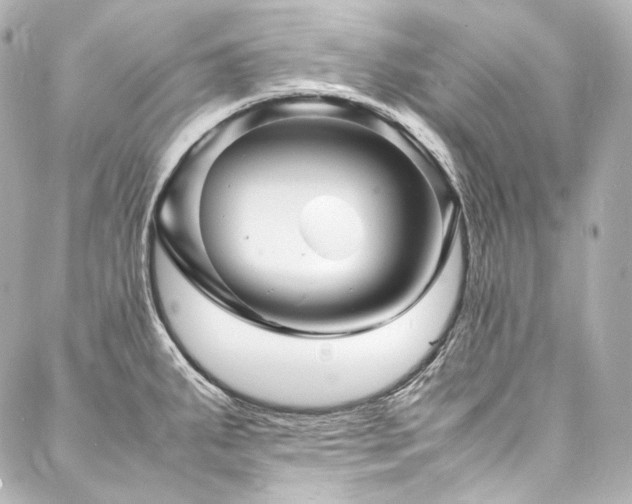 X0000088131287200705141433