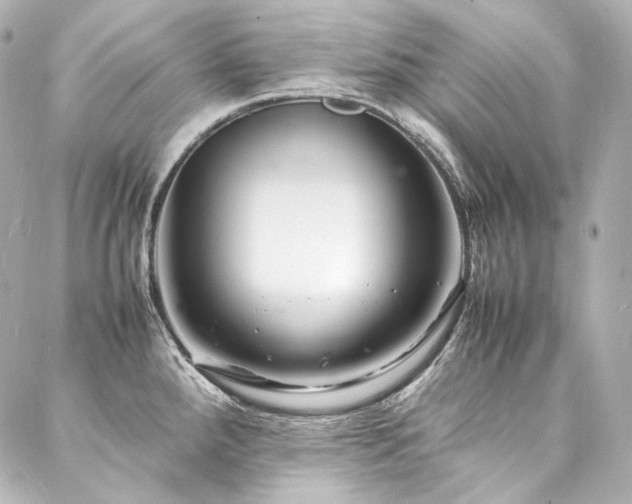 X0000088131288200705141433