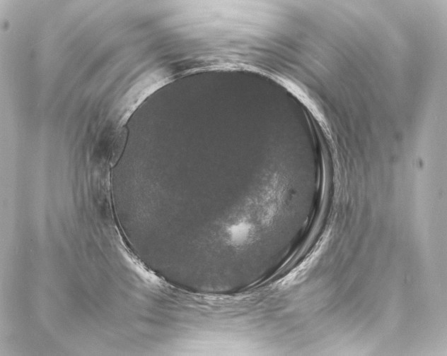 X0000088131289200705141433