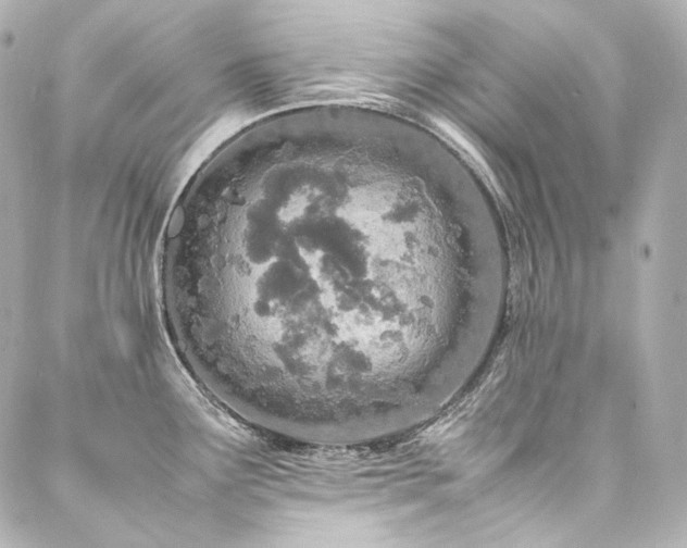 X0000088131291200705141433