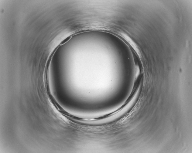 X0000088131293200705141433