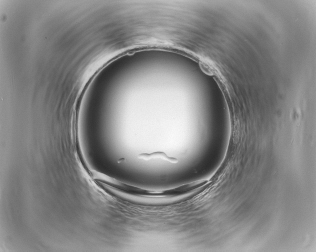 X0000088131295200705141433