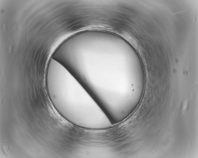 X0000088131296200705141433