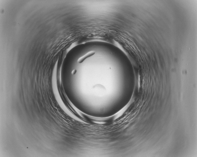 X0000088131298200705141432