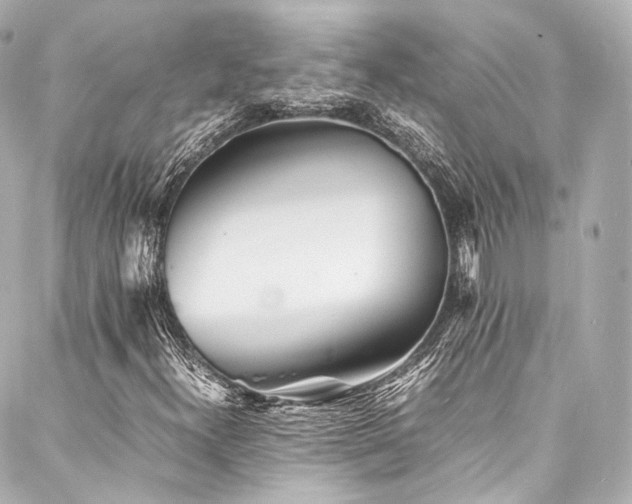 X0000088131300200705141432