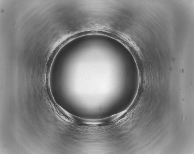 X0000088131316200705141432