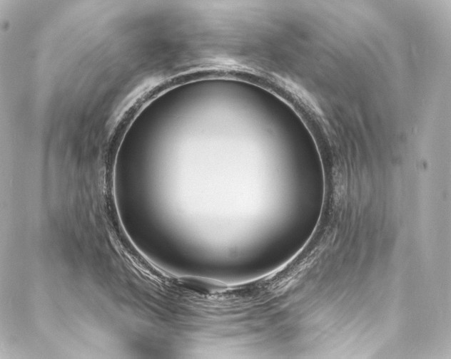 X0000088131318200705141432