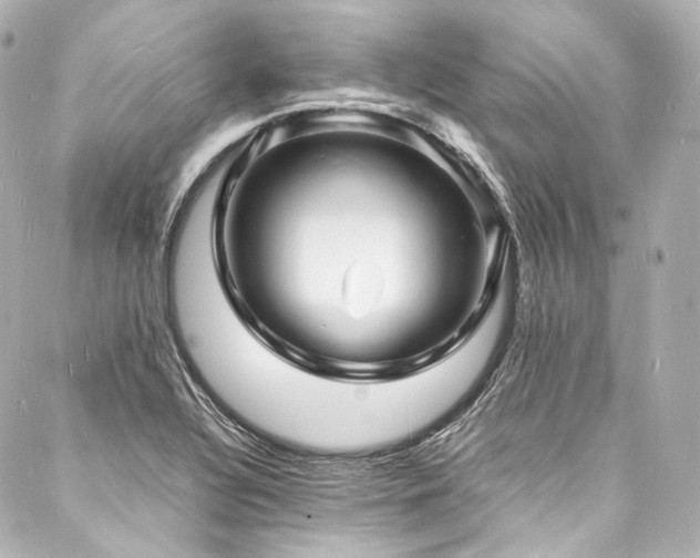 X0000088131320200705141432