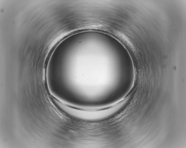 X0000088131324200705141432