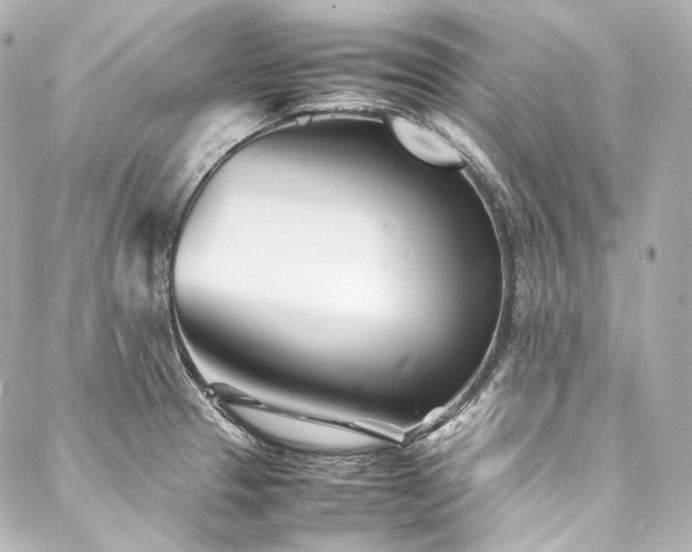 X0000088131329200705141432