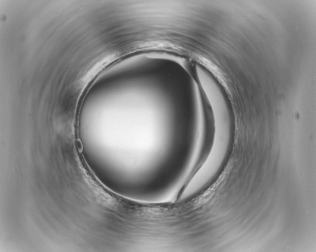 X0000088131330200705141432