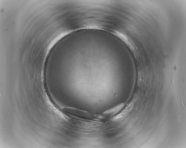 X0000088131331200705141432