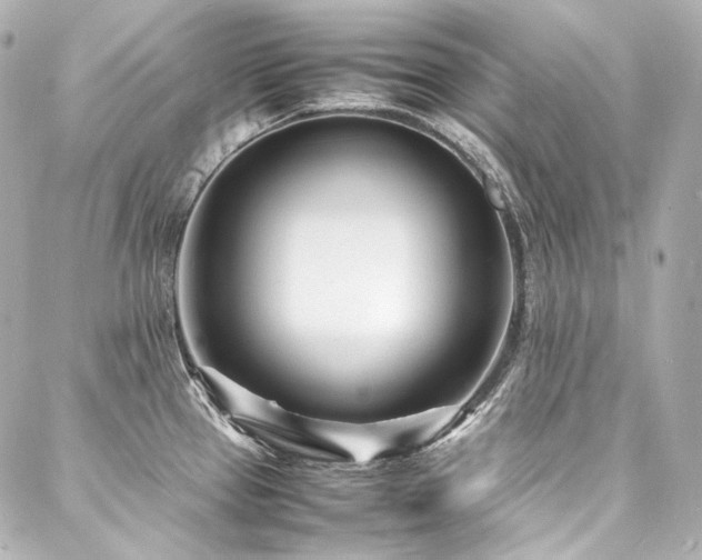 X0000088131337200705141432