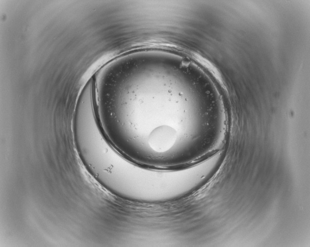 X0000088131338200705141432