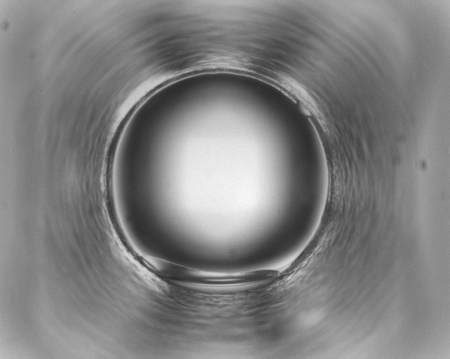 X0000088131339200705141432