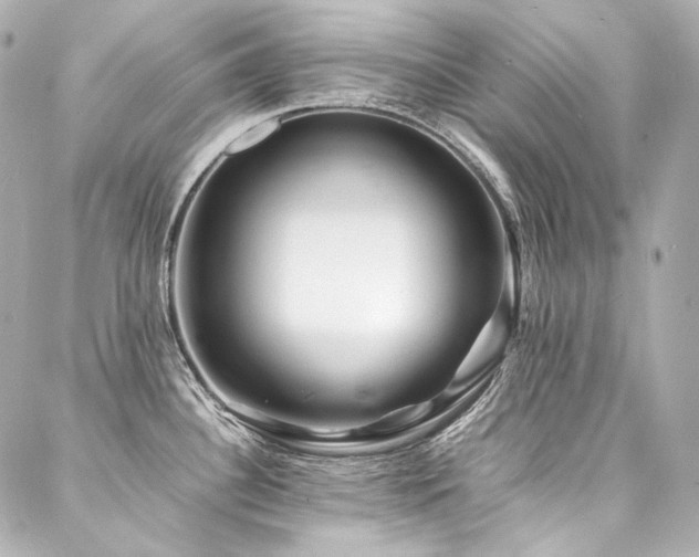 X0000088131340200705141432