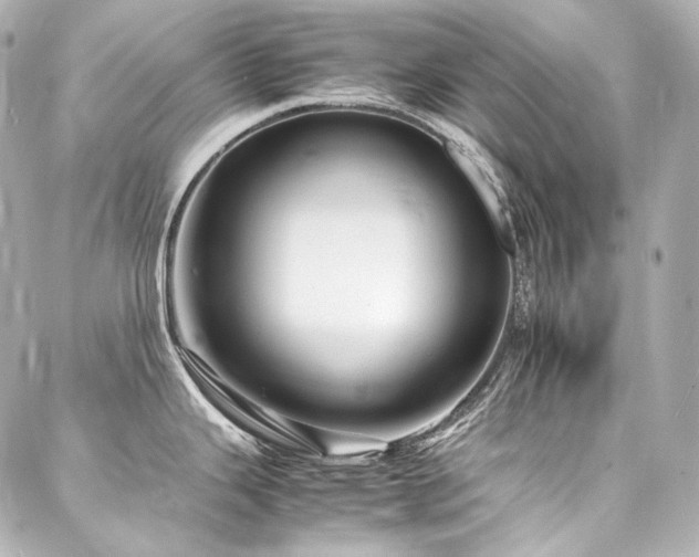X0000088131343200705141432