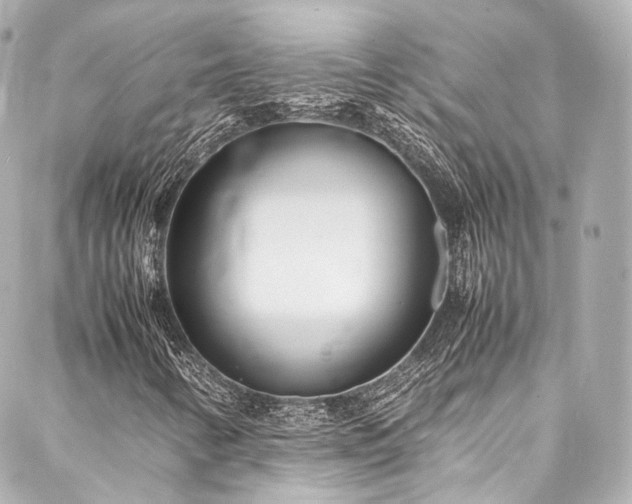X0000088131346200705141432