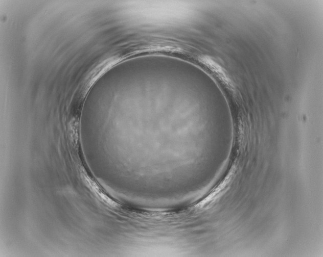 X0000088131369200705141431