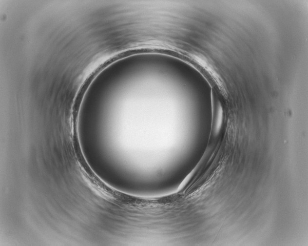 X0000088131372200705141431