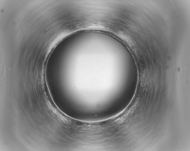 X0000088131374200705141431