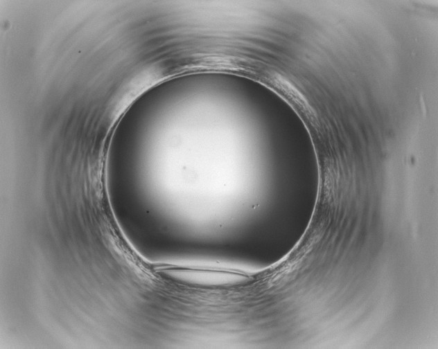 X0000088131378200705141431