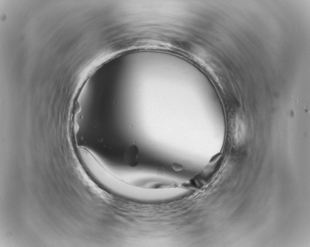 X0000088131379200705141431