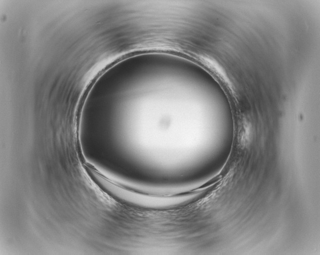 X0000088131380200705141431